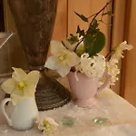 Bed & Breakfast 