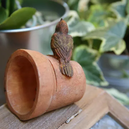 Bed & Breakfast 